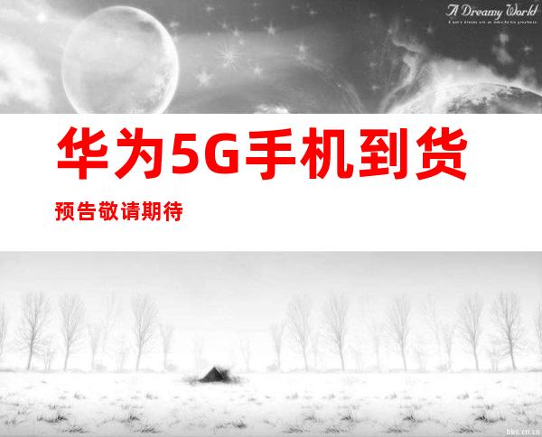 传承红色血脉，筑牢Weilink长城